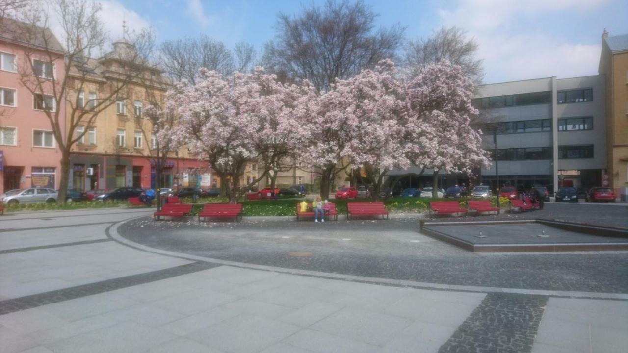 Apartment Belvedere Ostrawa Zewnętrze zdjęcie